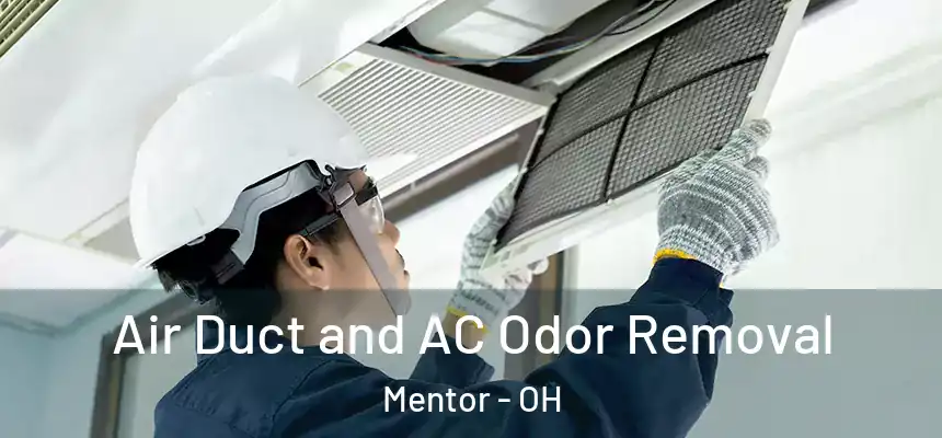  Air Duct and AC Odor Removal Mentor - OH