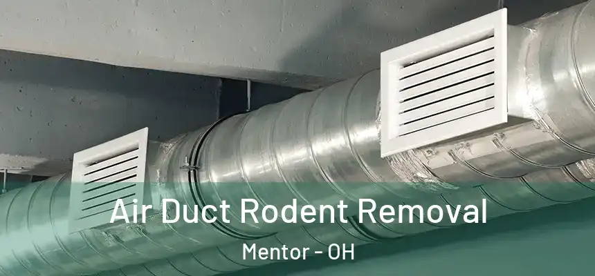 Air Duct Rodent Removal Mentor - OH