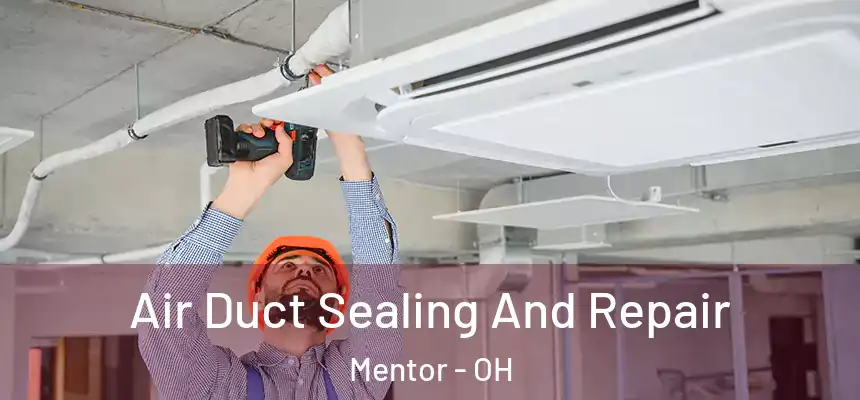  Air Duct Sealing And Repair Mentor - OH