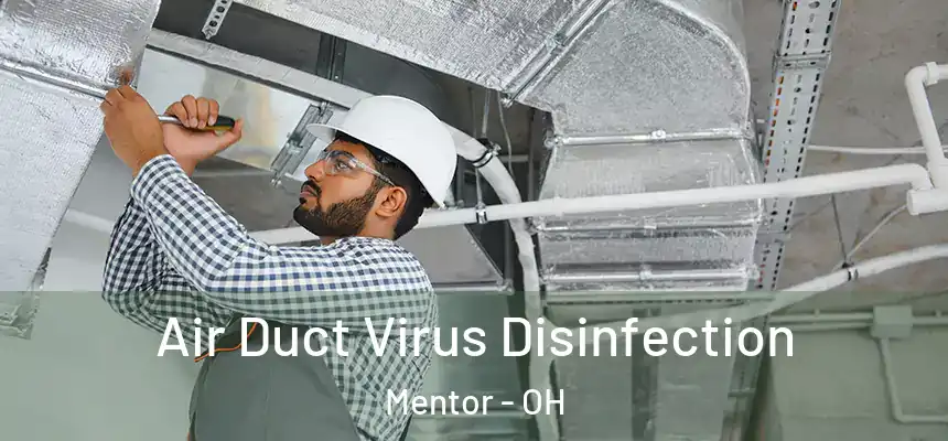  Air Duct Virus Disinfection Mentor - OH