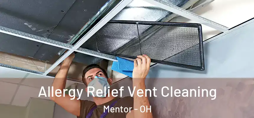  Allergy Relief Vent Cleaning Mentor - OH