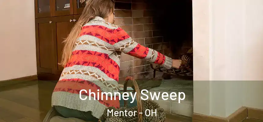  Chimney Sweep Mentor - OH