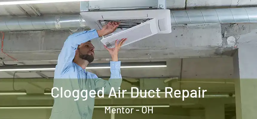  Clogged Air Duct Repair Mentor - OH