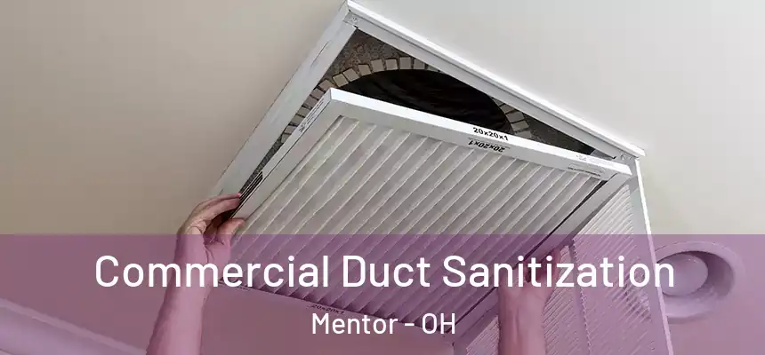  Commercial Duct Sanitization Mentor - OH