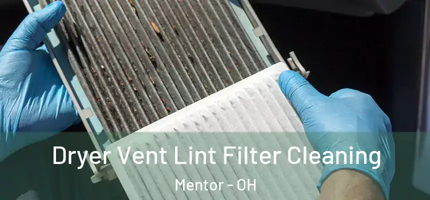  Dryer Vent Lint Filter Cleaning Mentor - OH
