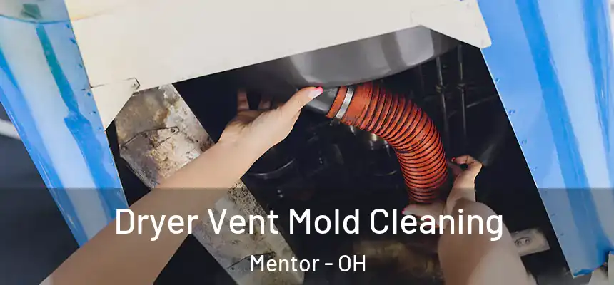  Dryer Vent Mold Cleaning Mentor - OH