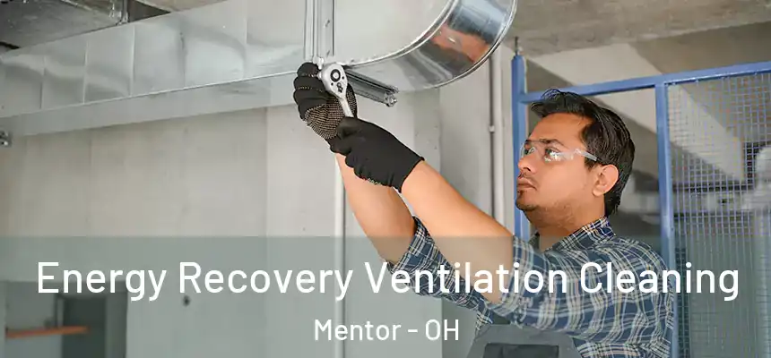  Energy Recovery Ventilation Cleaning Mentor - OH