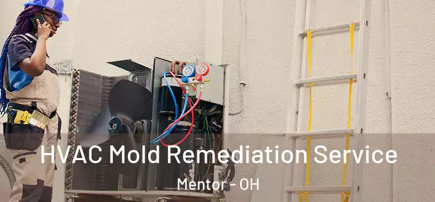  HVAC Mold Remediation Service Mentor - OH