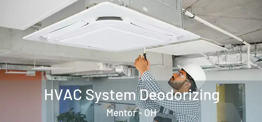 HVAC System Deodorizing Mentor - OH