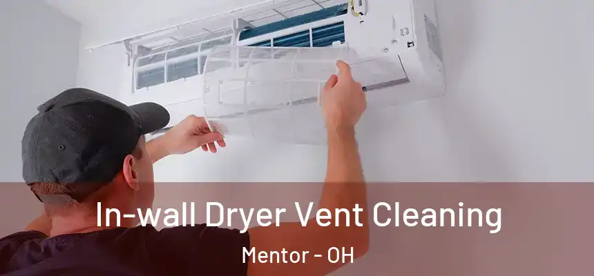  In-wall Dryer Vent Cleaning Mentor - OH