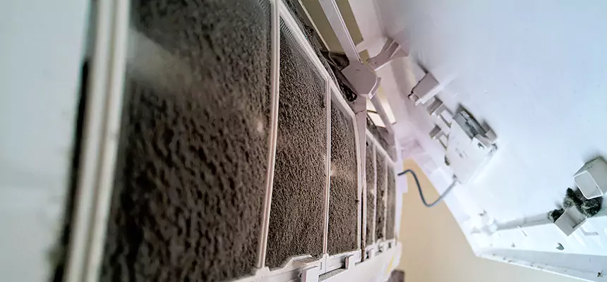 Preventive Air Duct Bacteria Removal in Mentor