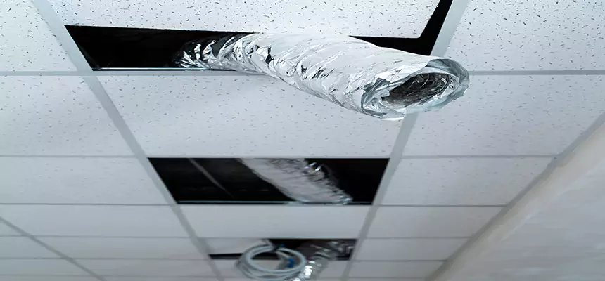 Our Air Duct Pet Hair Removal Services in Mentor, OH