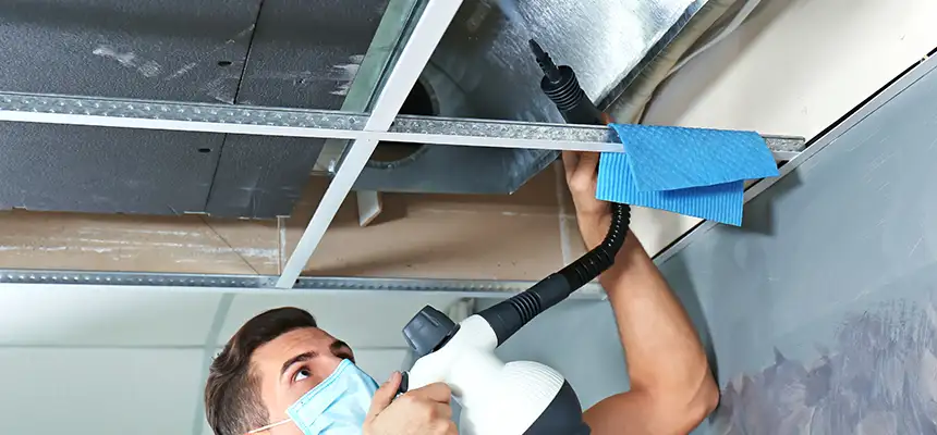 Our Air Duct Rodent Removal Services in Mentor, OH