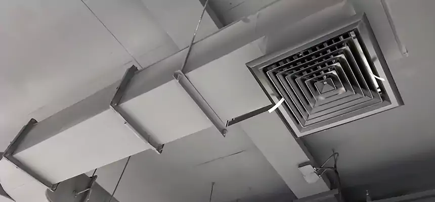 Restorative Allergy Relief Vent Cleaning – Coil, Blower & Housing Detail in Mentor