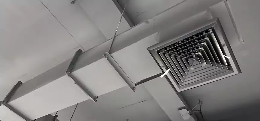 Our Rodent Droppings In Vents Services in Mentor, OH