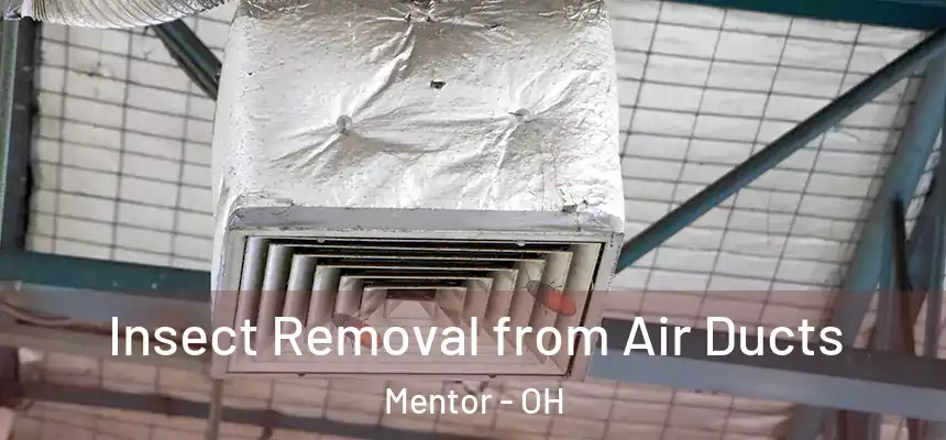  Insect Removal from Air Ducts Mentor - OH