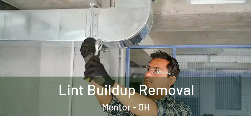 Lint Buildup Removal Mentor - OH