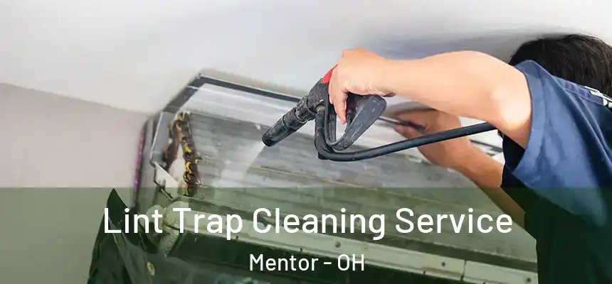  Lint Trap Cleaning Service Mentor - OH