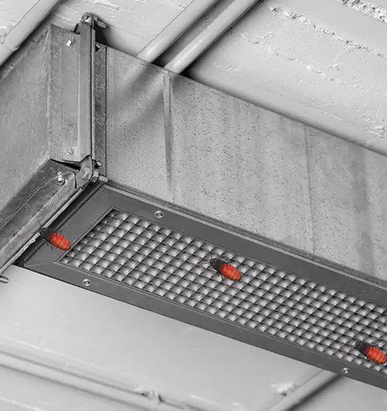 About Air Duct Cockroach Removal in Mentor, OH