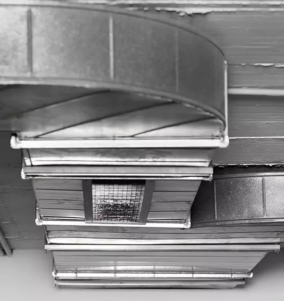 Professional Air Duct Pest Removal in Mentor, OH