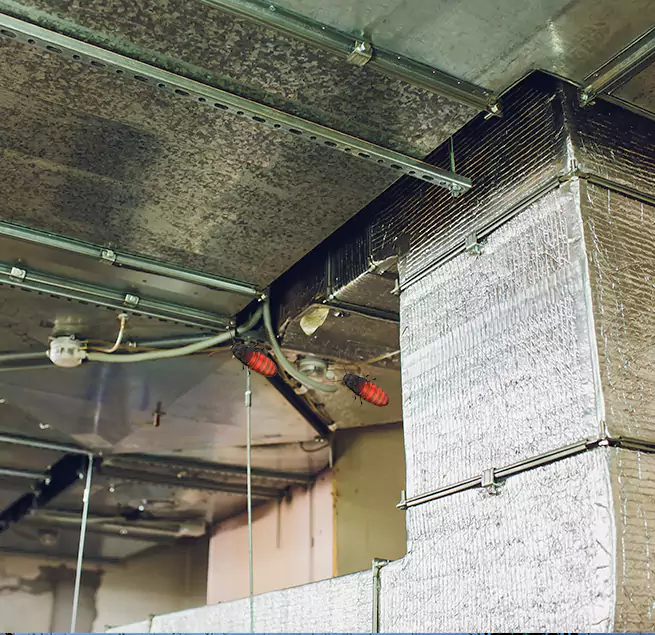 Why Homeowners & Businesses Trust Us in Mentor, OH?