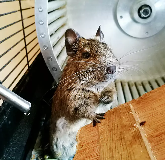 Why Homeowners & Businesses Trust Us Mentor, OH