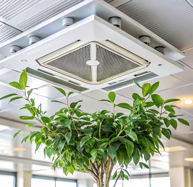 Why Homeowners & Businesses Trust Us in Mentor, OH?