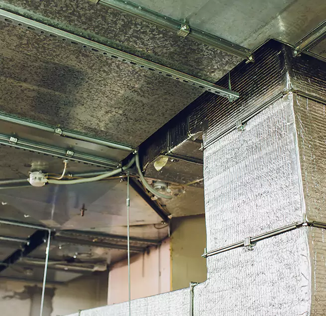 Why Homeowners & Businesses Trust Us in Mentor, OH?