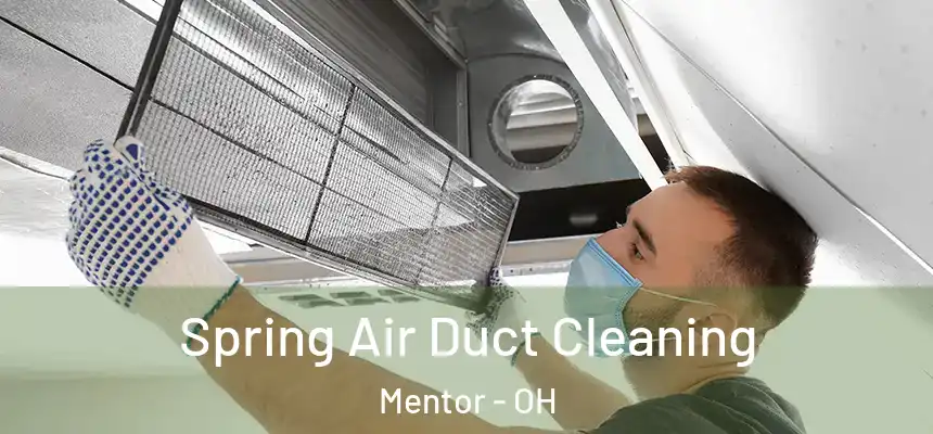  Spring Air Duct Cleaning Mentor - OH