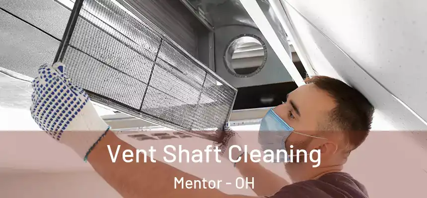  Vent Shaft Cleaning Mentor - OH