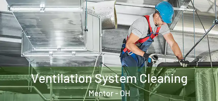 Ventilation System Cleaning Mentor - OH
