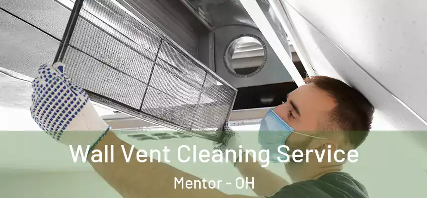  Wall Vent Cleaning Service Mentor - OH